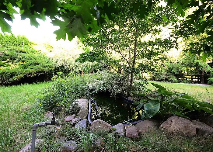 A Place Like Wiewiorcza *