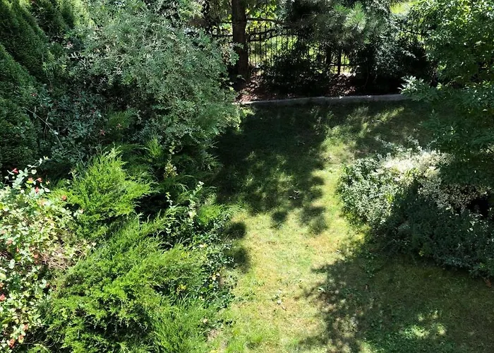 A Place Like Wiewiorcza