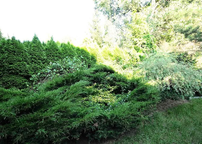 Apartment A Place Like Wiewiorcza Gdansk